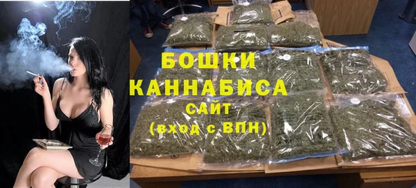 индика Тайга