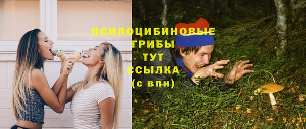 ГАЛЛЮЦИНОГЕННЫЕ ГРИБЫ Михайловск
