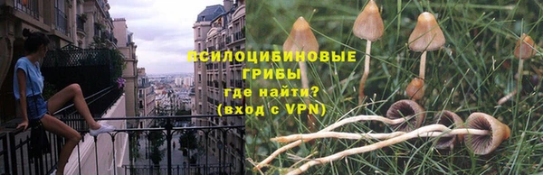 ГАЛЛЮЦИНОГЕННЫЕ ГРИБЫ Михайловск