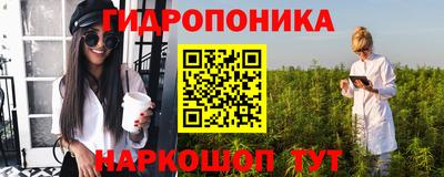 крисы Балахна