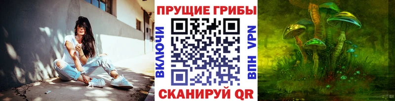где можно купить   Туймазы  Псилоцибиновые грибы Psilocybine cubensis 