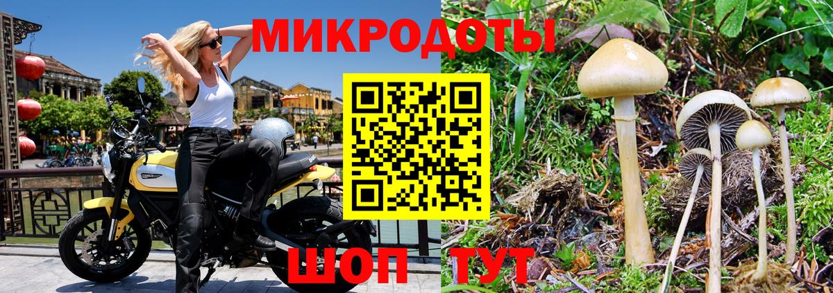 Галлюциногенные грибы MAGIC MUSHROOMS Туймазы