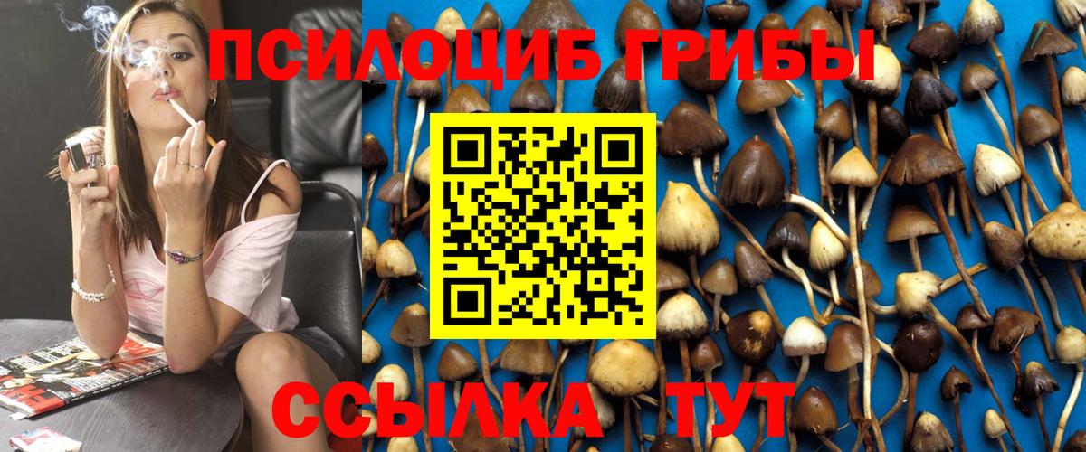 Псилоцибиновые грибы Magic Shrooms  Туймазы  Галлюциногенные грибы ЛСД 