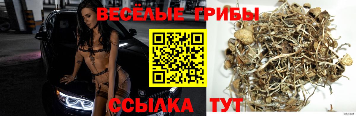 Галлюциногенные грибы мицелий  Вход с VPN  Туймазы 
